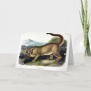 Search for catamount cards Panther