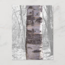 Search for environment photography Tree