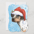 Search for cur cards Catahoula