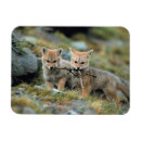 Search for carry rectangular magnets Red