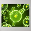 Search for topic posters Science