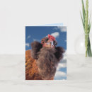 Search for funny i miss you cards Thinking of you