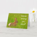 Search for funny cancer get well cards Support