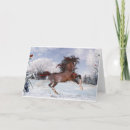 Search for arabian horse Pony