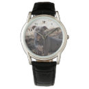 Search for pitbulls watches Dog