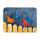 Search for fences magnets Bird