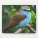 Search for wild birds mouse mats Pretty