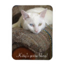 Search for bling magnets Blue