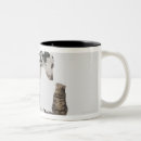 Search for confrontation mugs Friendship