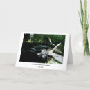 Search for adventure quote postcards Life