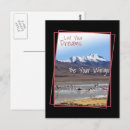 Search for bolivia postcards Flamingos