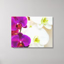 Search for white orchid canvas prints Flowers