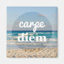 Search for carp magnets Ocean