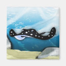 Search for stingray magnets Ocean