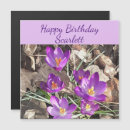 Search for purple crocus Flowers