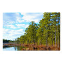 Search for new jersey posters Pine barrens