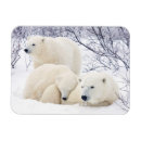 Search for danita delimont cards Canadian