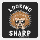 Search for funny hedgehog stickers Humour