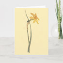 Search for jonquil cards Yellow