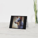 Search for blue heeler cards Dog