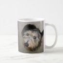 Search for scruffy mugs Animal