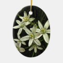 Search for star bethlehem christmas tree decorations Stars