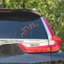 Search for ladybug bumper stickers Ladybird