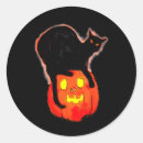 Search for orange glow stickers Halloween