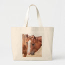 Search for pasture bags Equine