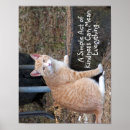 Search for be kind to animals posters Cat
