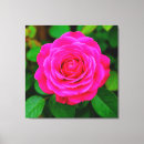 Search for vibrant canvas prints Bloom