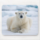 Search for danita delimont mouse mats Arctic