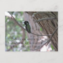 Search for contemplation postcards Photograph