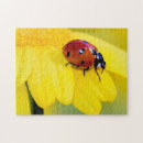 Search for ladybug puzzles Funny