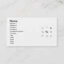 Search for insect business cards Wasp