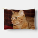 Search for tabby accessories Red