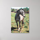 Search for equine image art Horse lover
