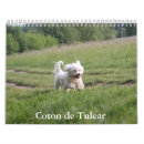 Search for coton de tulear gifts Puppy