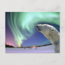 Search for endangered postcards Save