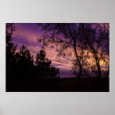 Search for purple night sky posters Nature
