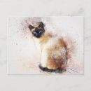 Search for abstract animal postcards Kitten