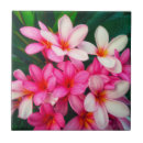 Search for frangipani tiles Tropical