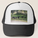 Search for turkey hats Birds