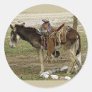 Search for burro stickers Animal