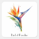 Search for bird of paradise stickers Colourful