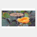 Search for desert flowers stickers Nature