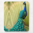 Search for blue grass mouse mats Bird