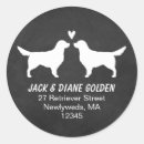 Search for golden retrievers stickers Animals