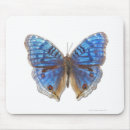 Search for photography mouse mats Animal