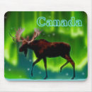 Search for aurora borealis electronics Snow